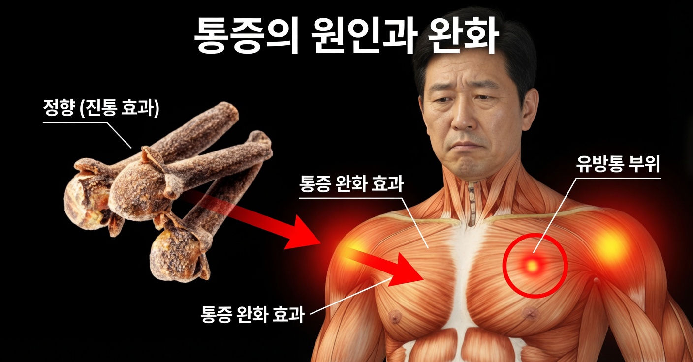 정향의 효능: 매일 사용해야 하는 20가지 이유