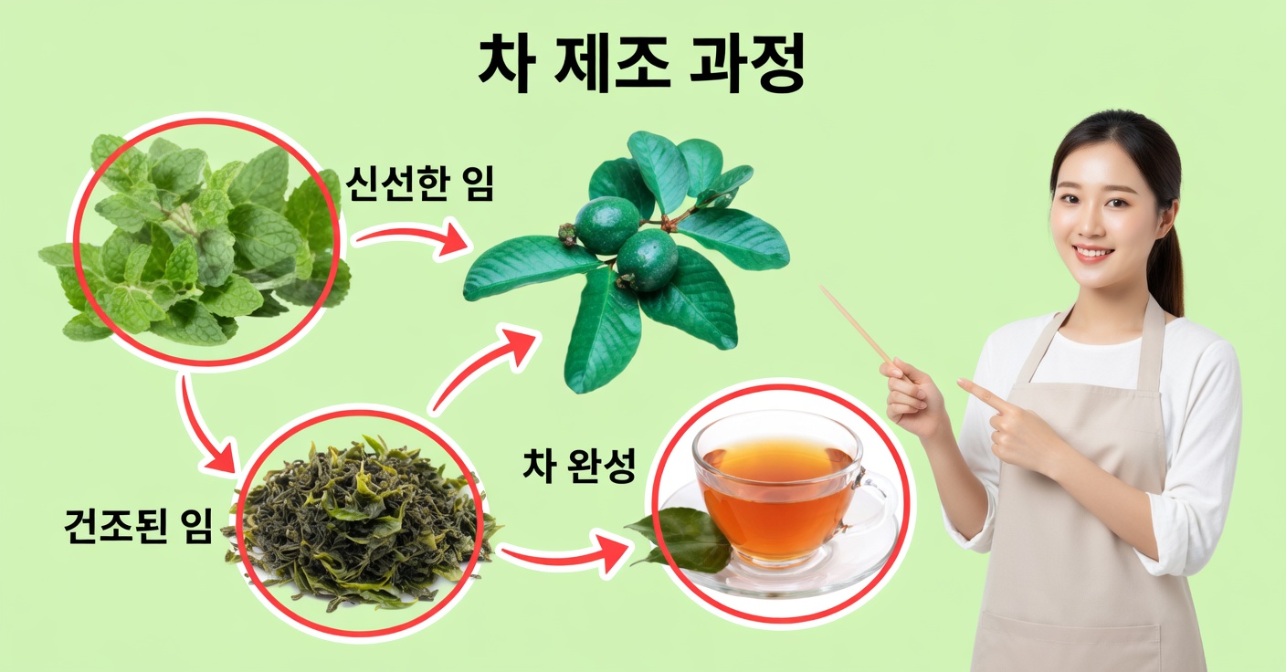 구아바 차: 간을 깨끗하게 하고 혈압을 조절한다