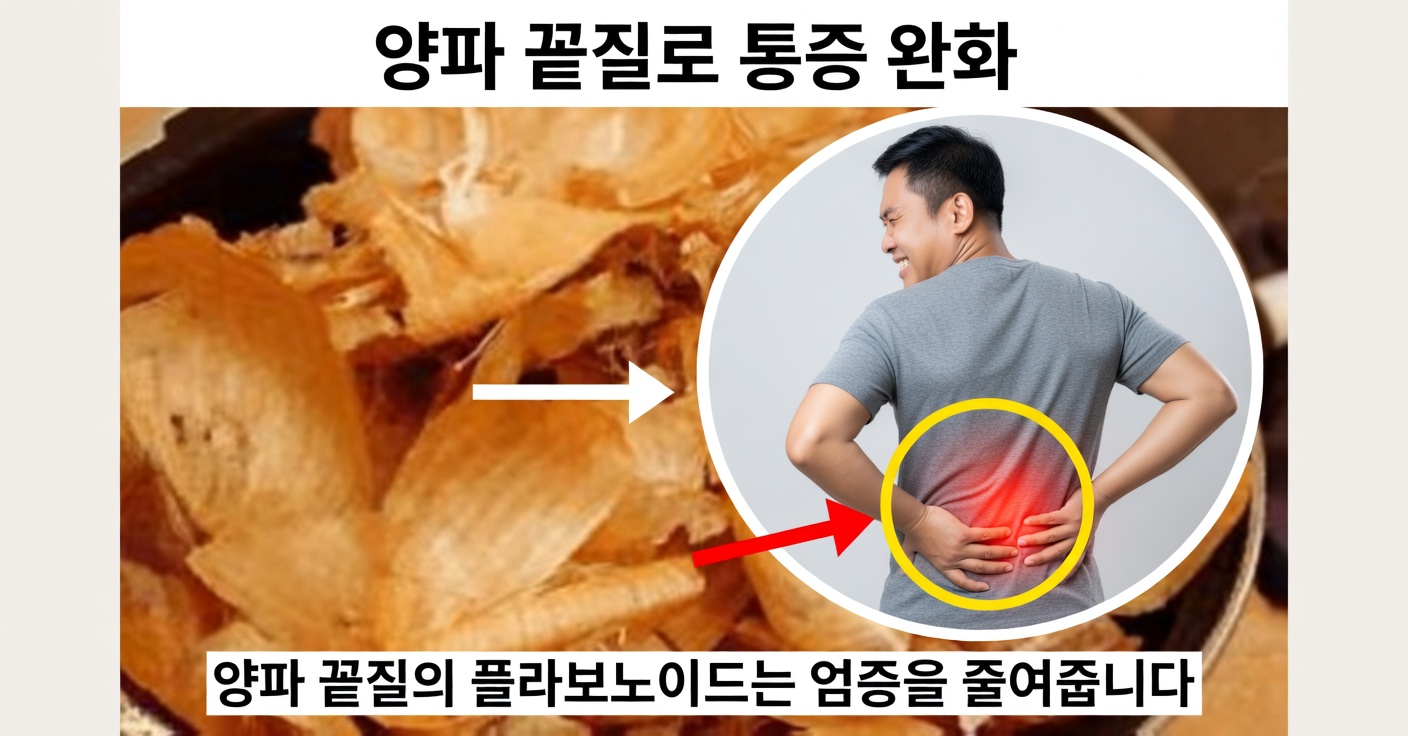 양파와 껍질: 전립선과 방광을 위한 치료법