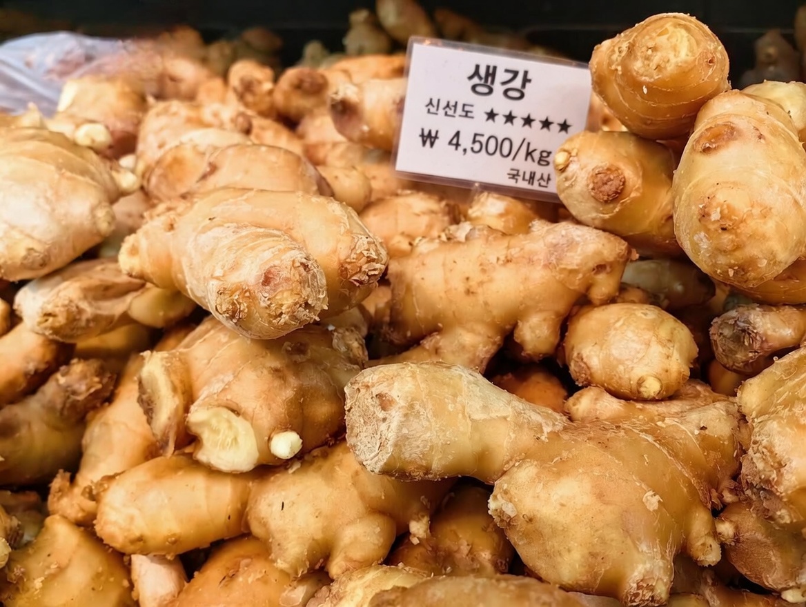 모두가 집에 갖추어야 할 자연재해 비상 키트 2026