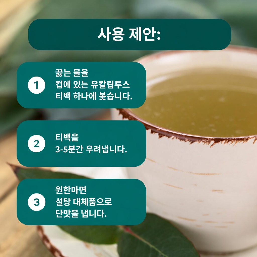 유칼립투스 차 - 무슨 효능이 있을까? 건강과 아름다움에 주는 이점