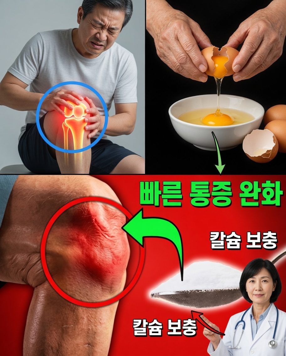 달걀껍데기를 버리지 마세요: 더 건강한 몸과 더 친환경적인 집을 위한 간단한 자연 비법