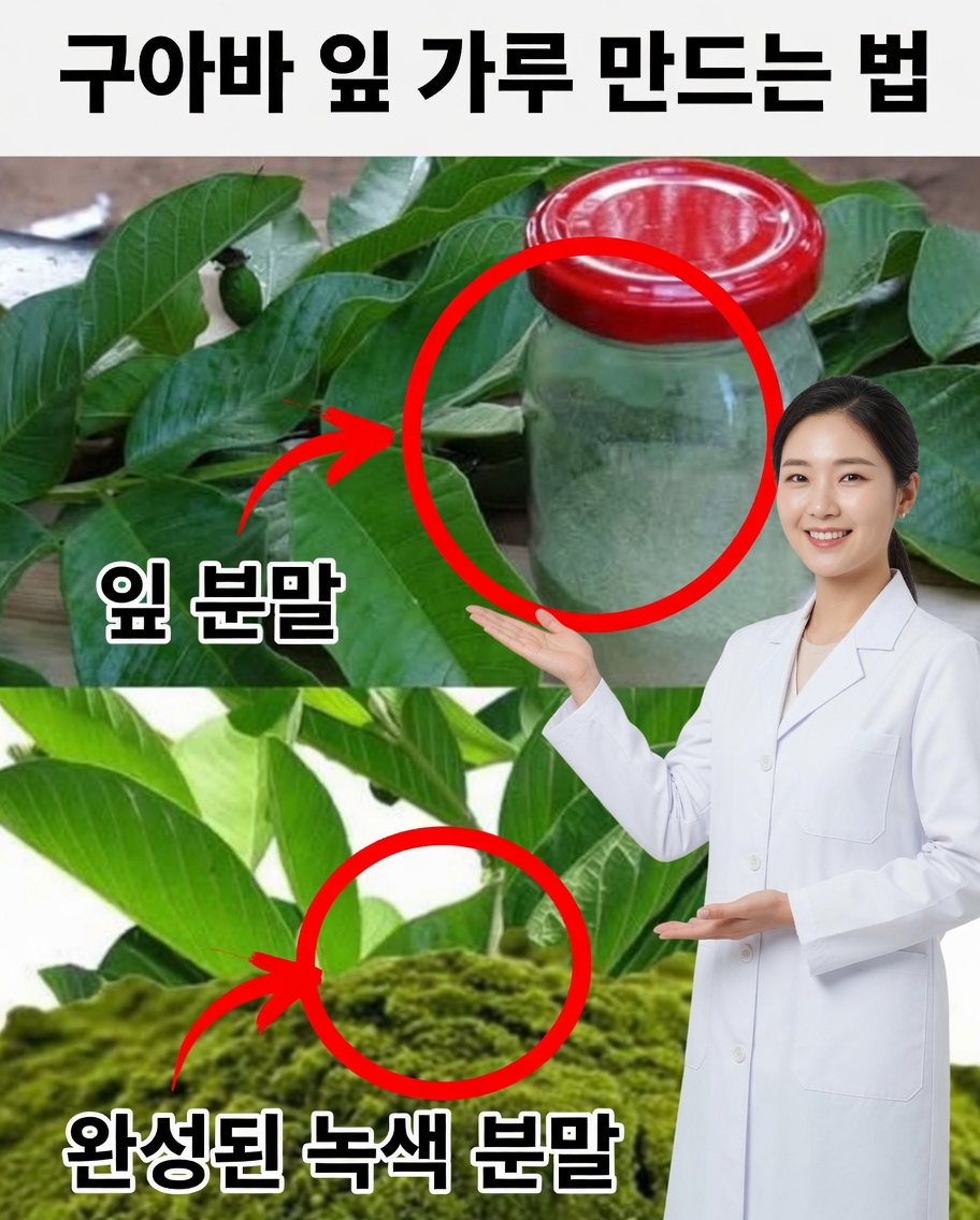 구아바 잎 가루 만드는 방법