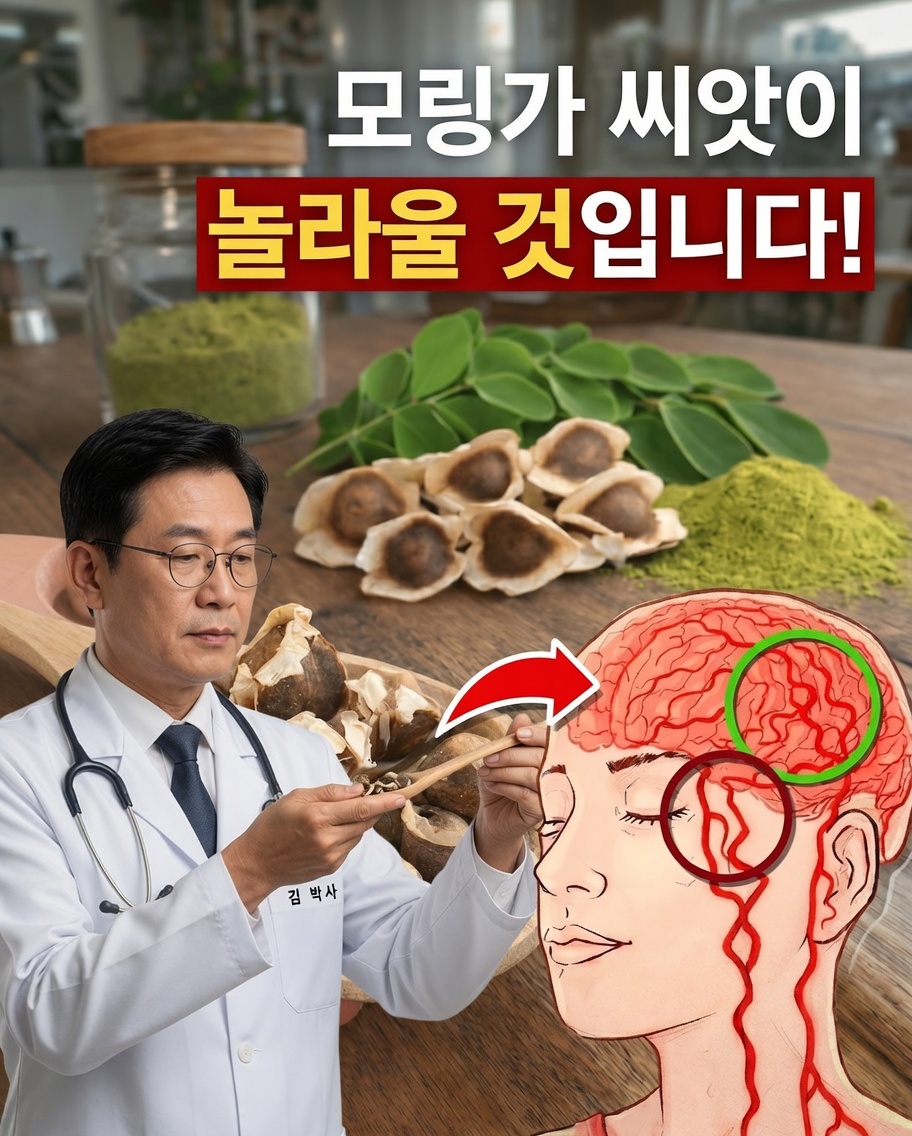 모두가 잘 모르는 모링가 씨앗이 건강과 웰빙에 도움이 되는 놀라운 12가지 방법