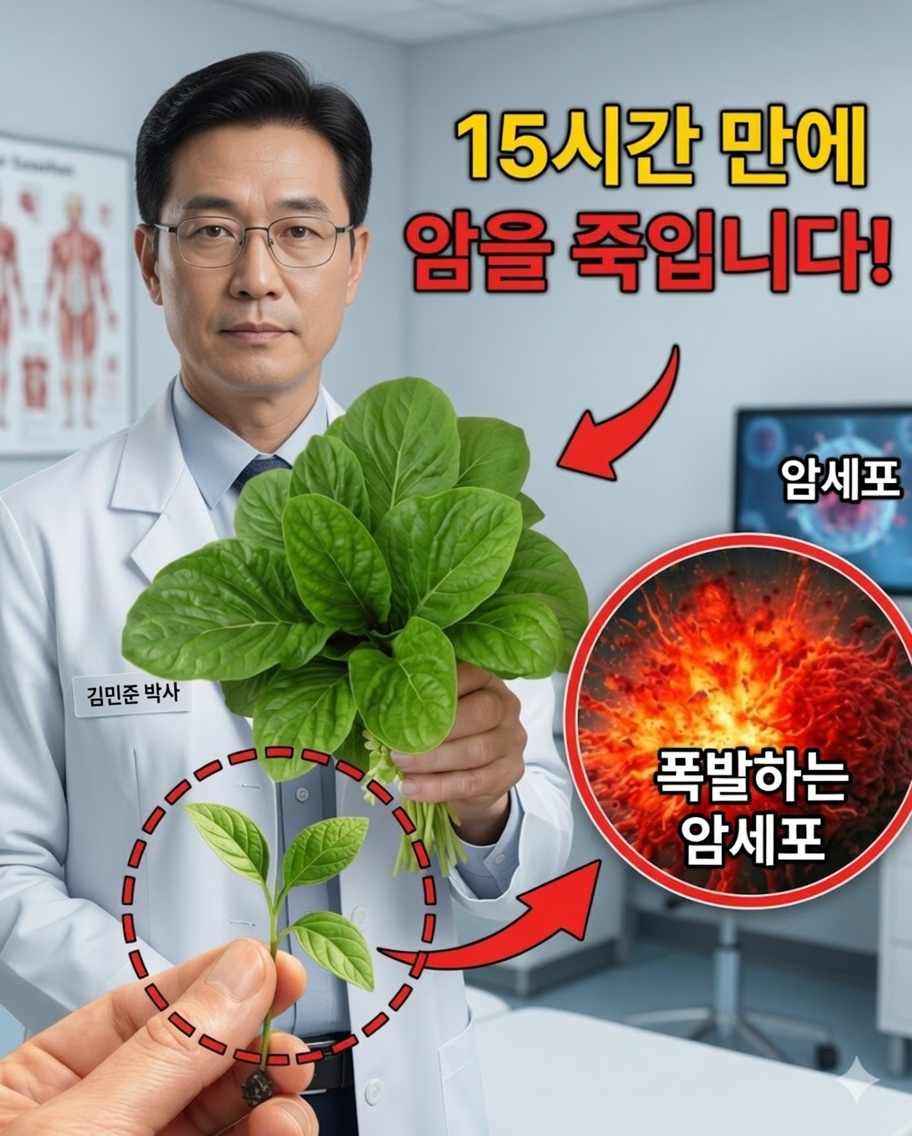 당신의 건강을 영원히 바꿀 수 있는 잎