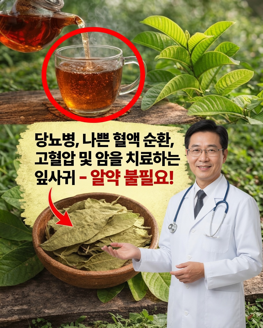 Folhas de Goiabeira로 더 나은 혈액순환을 돕고 혈압을 균형 있게 유지하며 웰빙을 증진하는 자연스러운 방법을 알아보세요