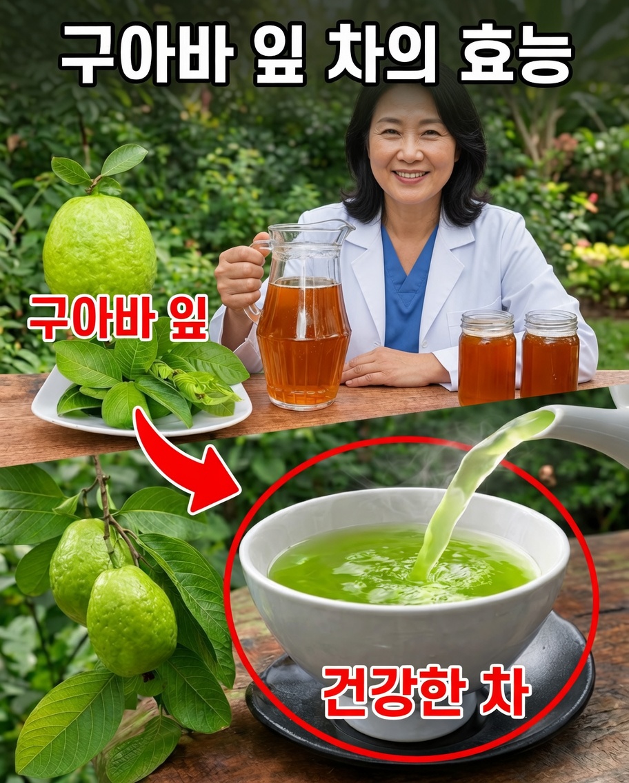 17가지 이유: 주 2회 구아바 잎차를 마셔야 하는 이유
