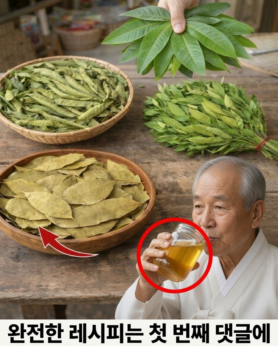 네 가지 약용 잎: 아보카도, 망고, 월계수, 구아바 — 당신의 웰빙을 위한 자연의 선물