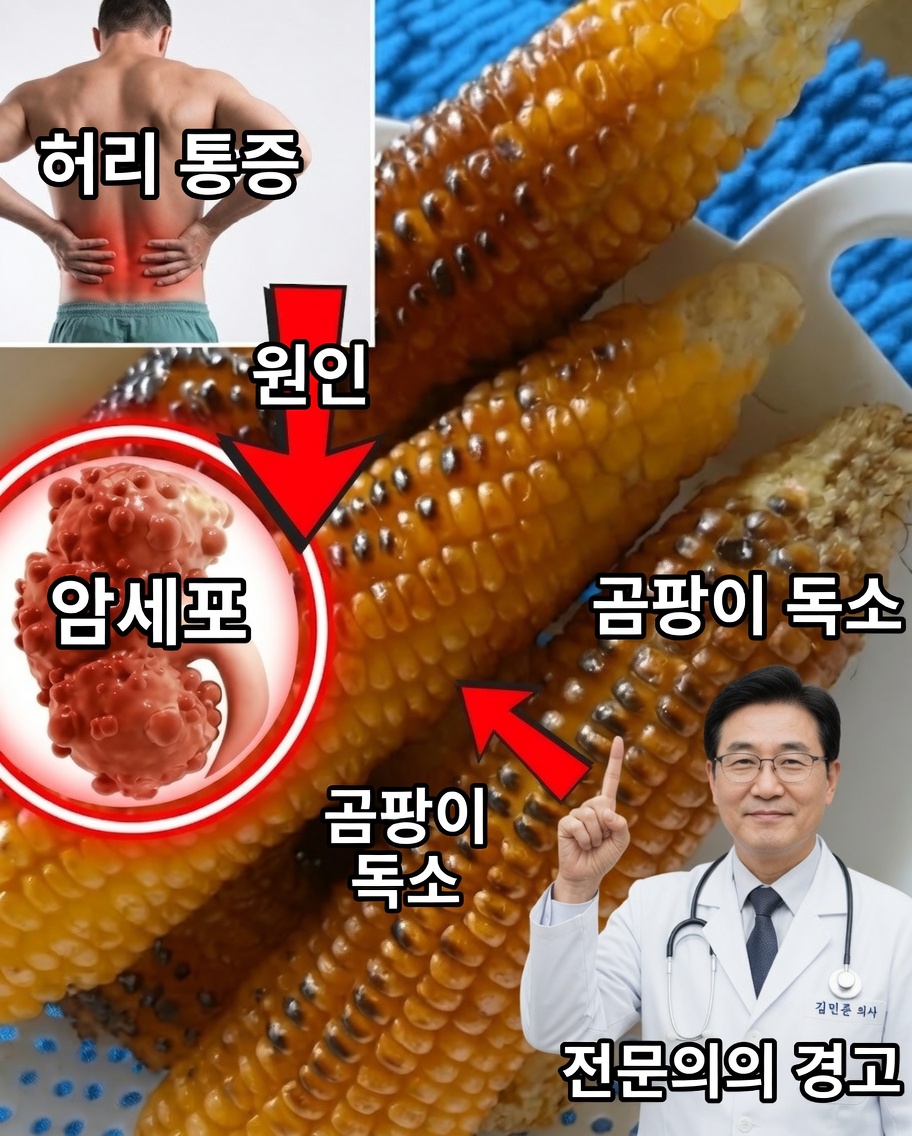 다음 한입을 먹기 전에 알아야 할 구운 옥수수에 관한 놀라운 사실 11가지