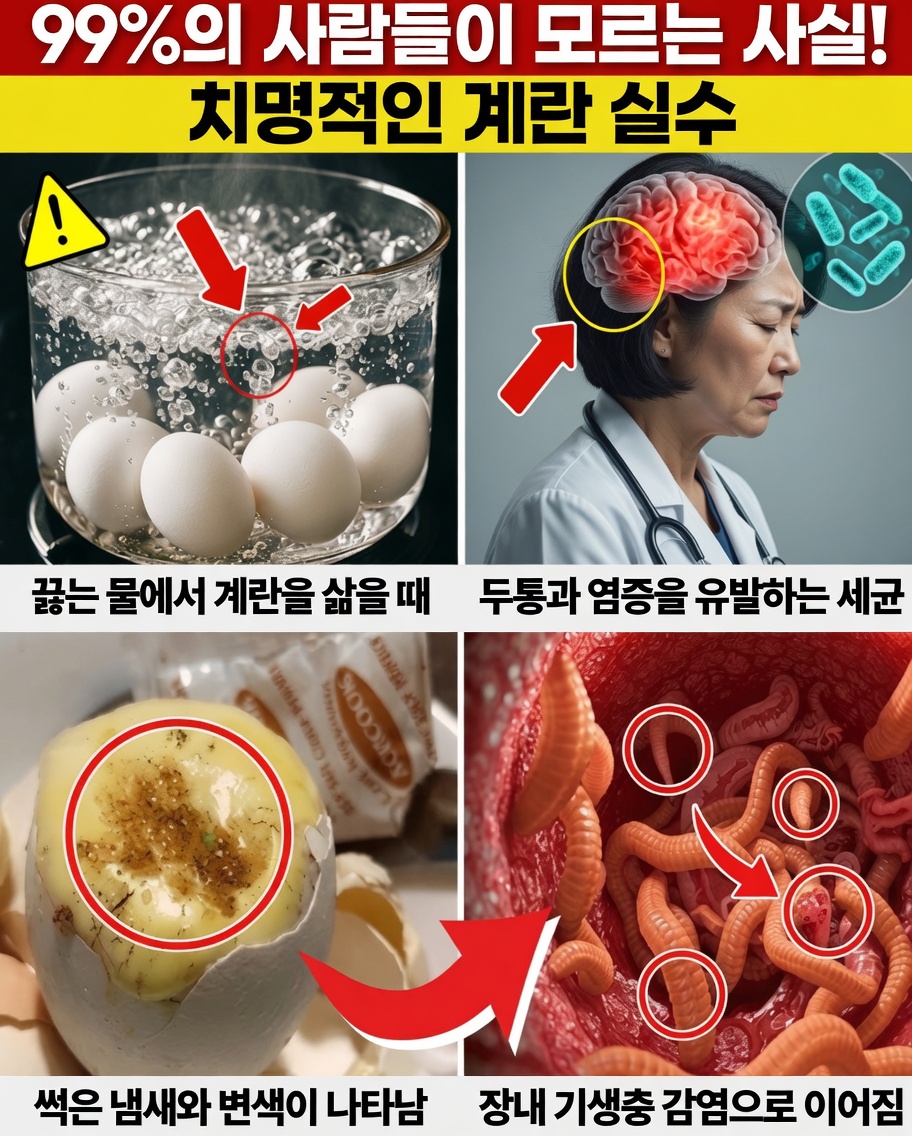 계란을 올바르게 먹는 법: 더 나은 건강을 위해 피해야 할 7가지 위험한 실수