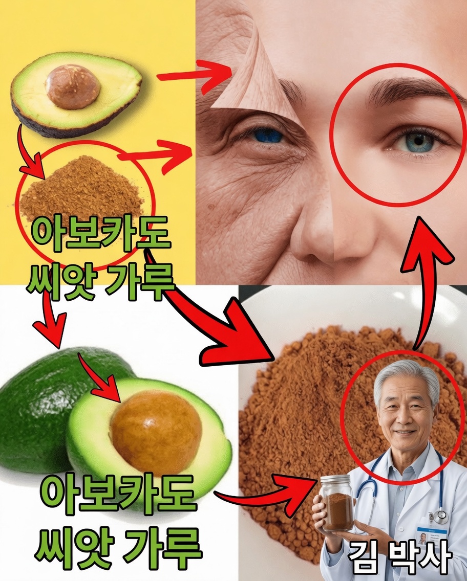 아보카도 씨앗: 숨겨진 슈퍼푸드인가, 간과된 보물인가?