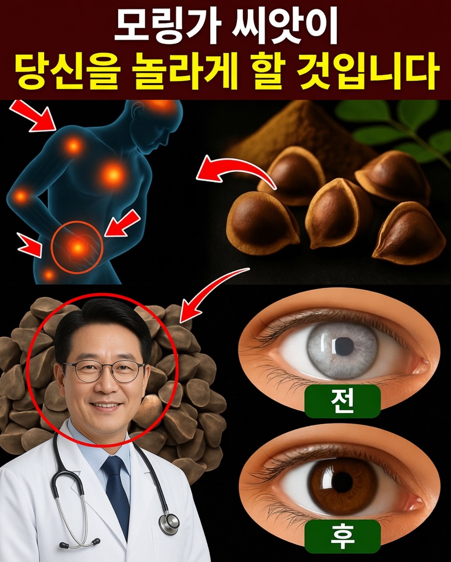 아마 들어본 적 없을 모링가 씨앗의 강력한 효능 12가지