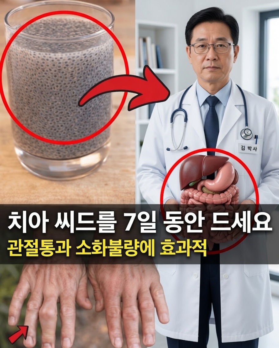 매일 치아씨드를 7일 동안 먹으면 무슨 일이 일어날까? (대부분이 예상하는 것과는 다르다)