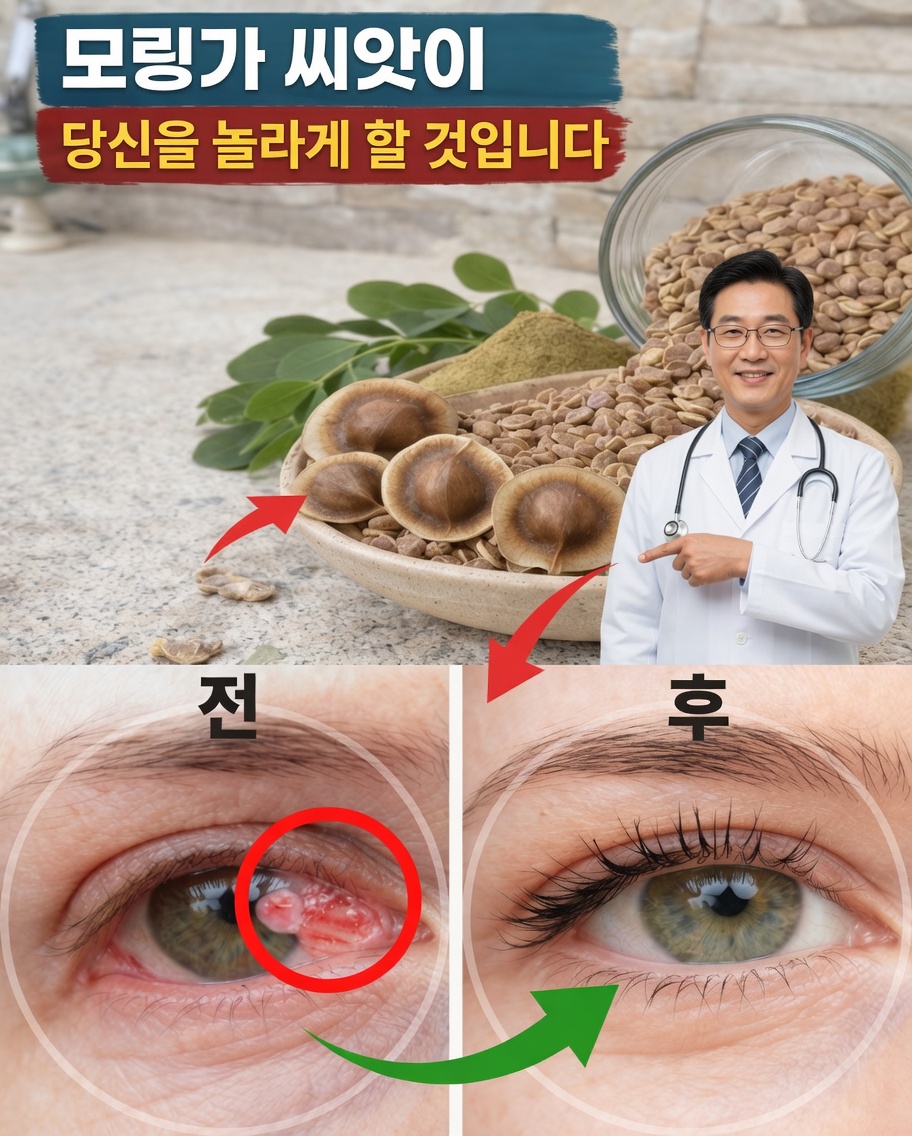 모링가 씨앗의 숨겨진 힘을 깨우세요: 과학이 확인하기 시작한 12가지 혁신적 효능