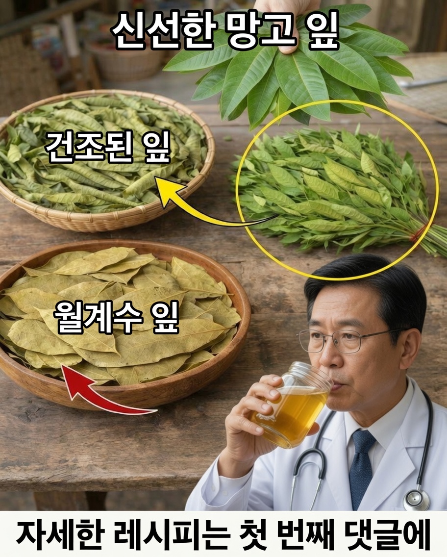 네 가지 약용 잎: 아보카도, 망고, 월계수, 구아바 — 당신의 웰빙을 위한 자연의 선물