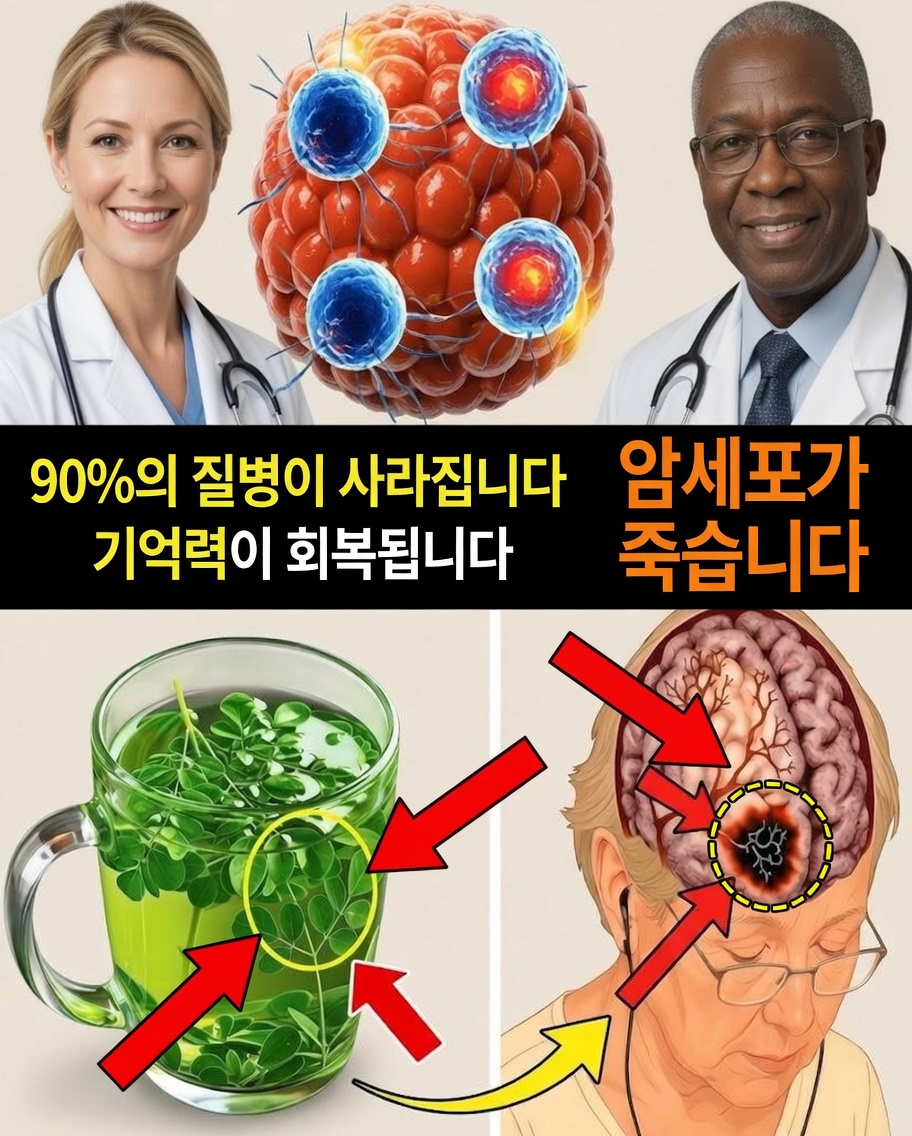 일본 장수의 비밀: 젊고 활력 넘치며 건강하게 유지하는 데 도움이 되는 일상 식품 10가지