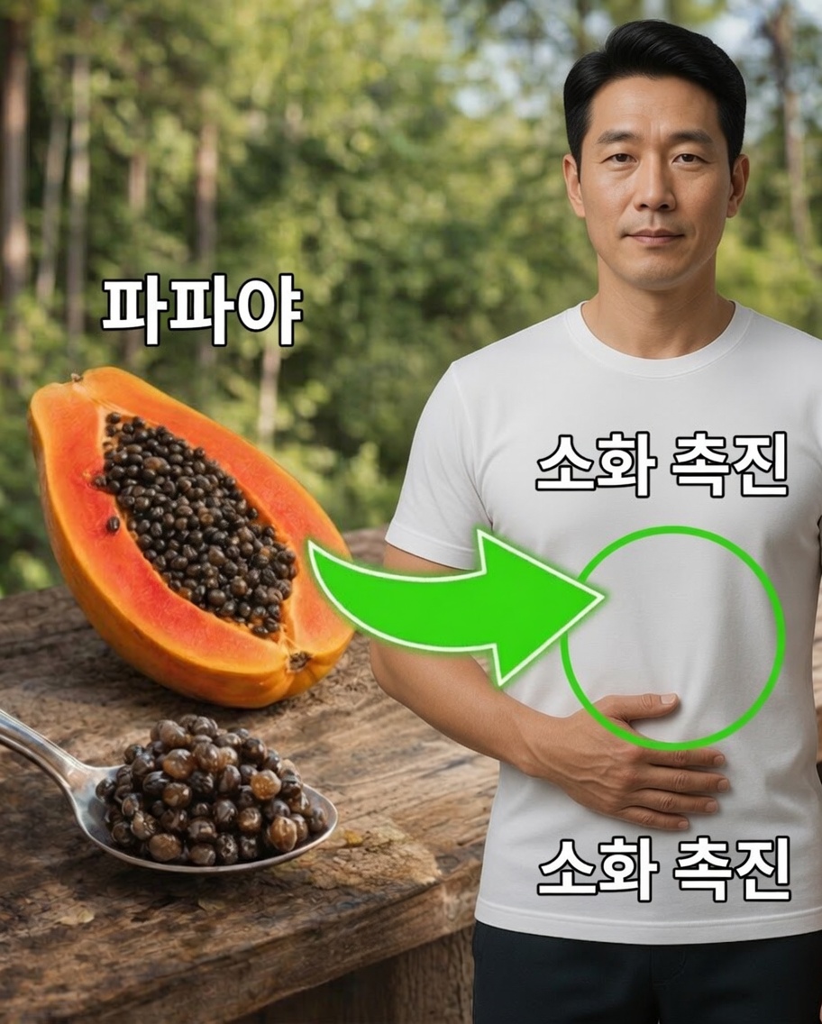 매일 파파야 씨앗을 몇 알 씹는 것이 탐구해 볼 가치가 있을 수 있는 이유
