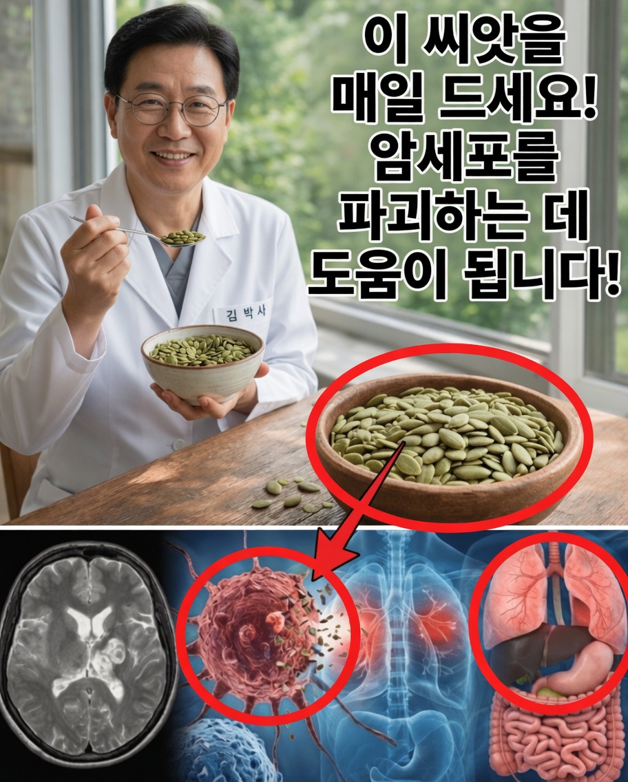 암 위험에 맞서 신체의 자연 방어력을 지원할 수 있는 영양소가 풍부한 씨앗 6가지를 알아보세요