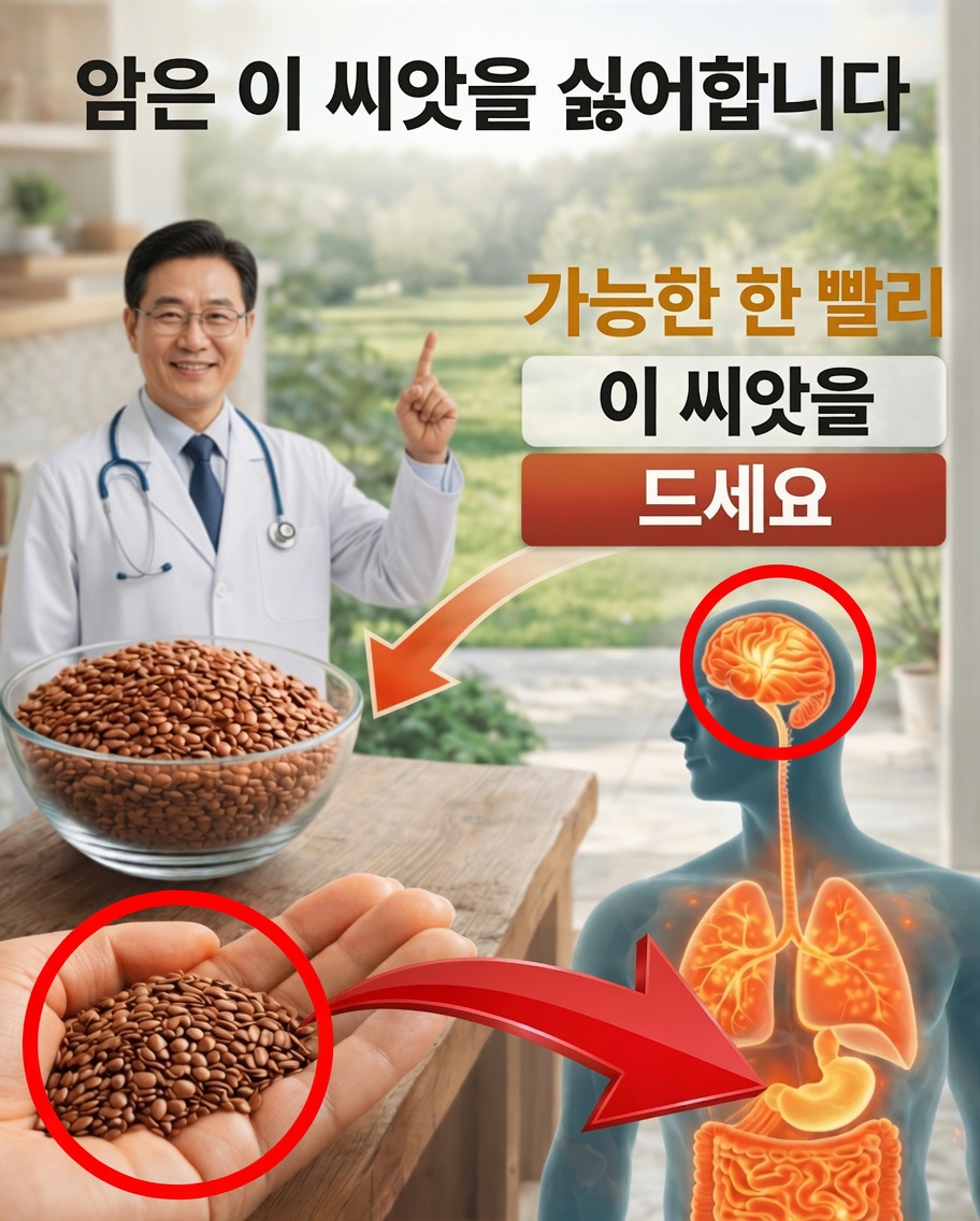 영양이 풍부한 씨앗 6가지로 몸의 자연 방어력을 지원하는 방법을 알아보세요 – 노년층을 위한 특별 가이드