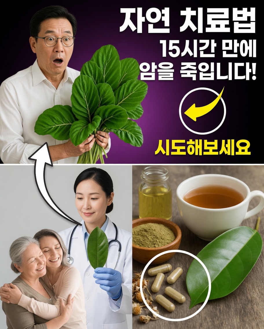 이 고대 잎이 현대에 다시 주목받고 있다 — 당신도 고려해볼까?
