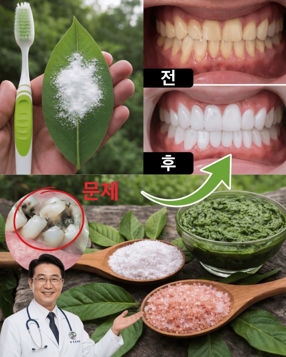 구강 건강을 돕는 구아바 잎의 간단한 자연 요법을 알아보세요