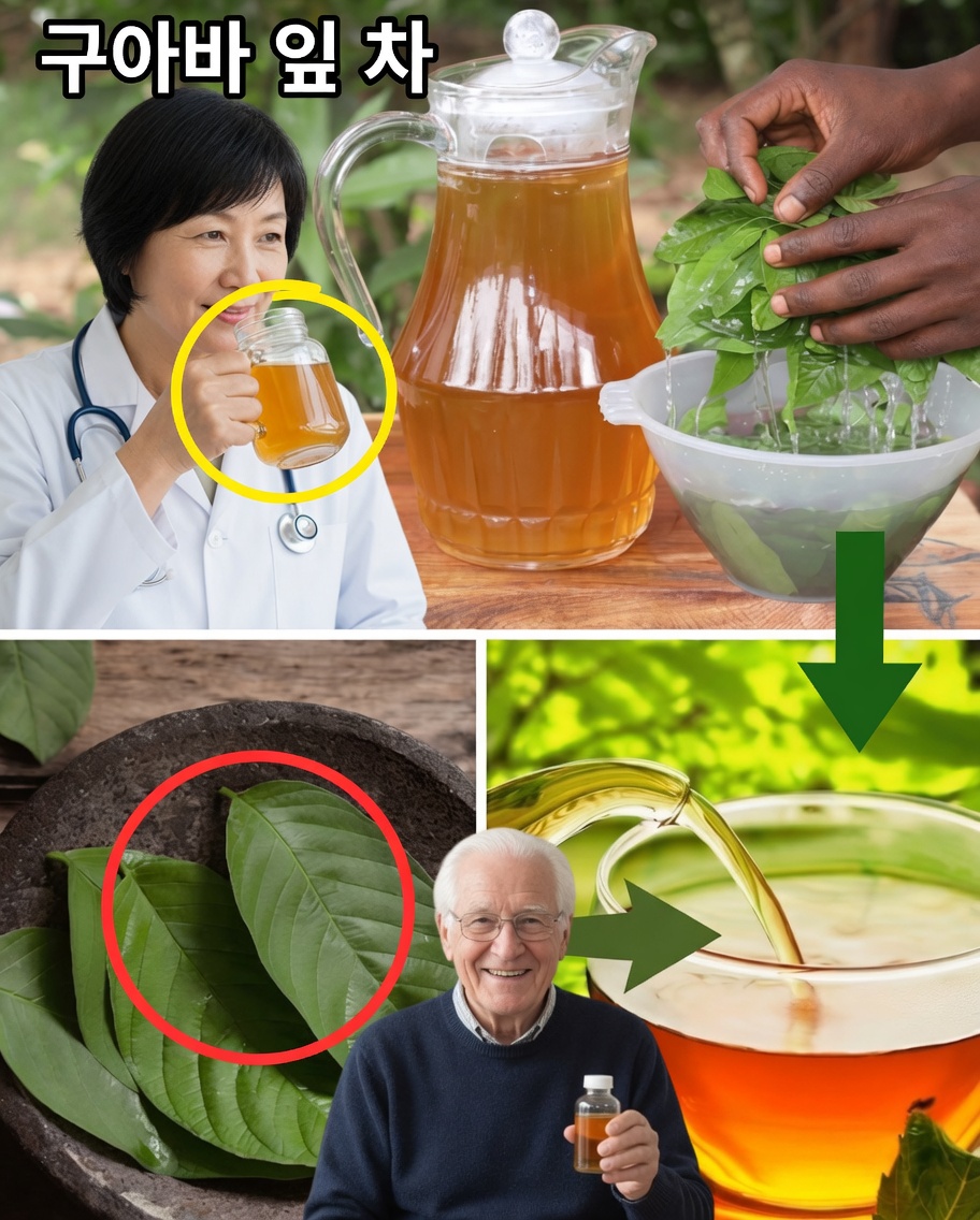구아바 잎차: 에너지와 소화, 윤기를 되찾는 간단한 매일의 의식