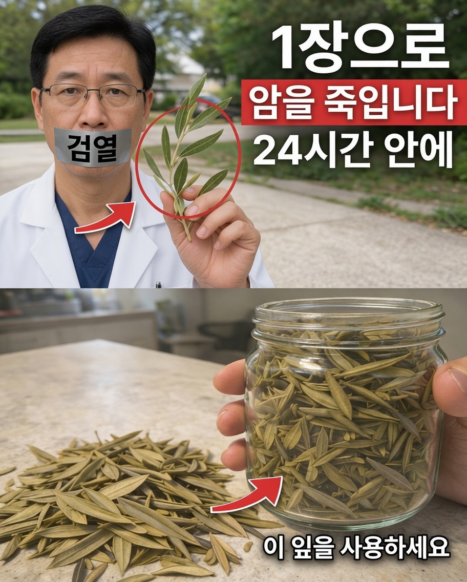 몸이 암세포와 싸우는 데 도움을 줄 수 있는 잊힌 잎(그리고 사람들이 잘 언급하지 않는 자연 전략 14가지 더)