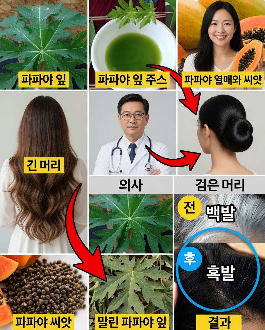 젊어 보이는 머릿결을 위한 파파야 잎: 더 짙고 강하며 윤기 나는 머리카락을 위한 자연스러운 길