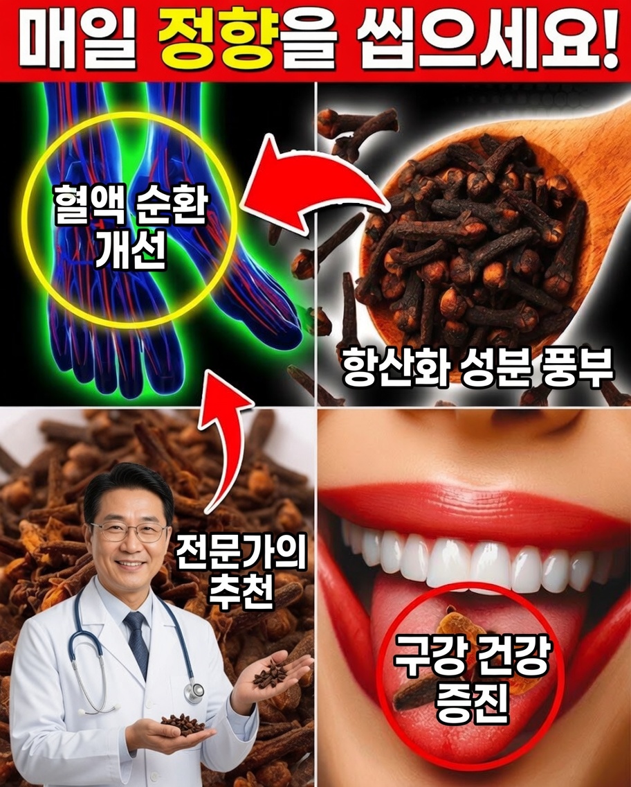매일 정향 한 쪽을 씹고 자연스럽게 건강을 변화시키세요