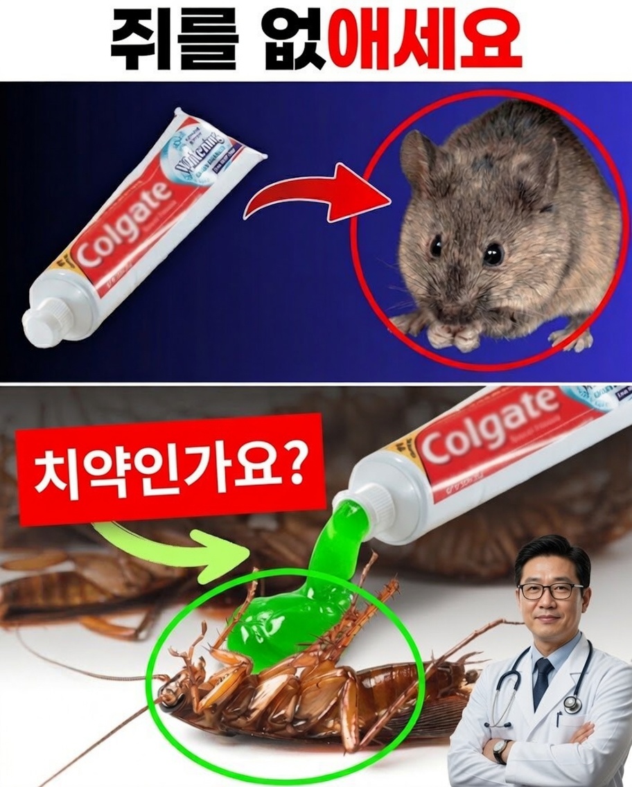 놀라운 집에서 하는 해킹: 치약으로 해충을 쫓아내세요!