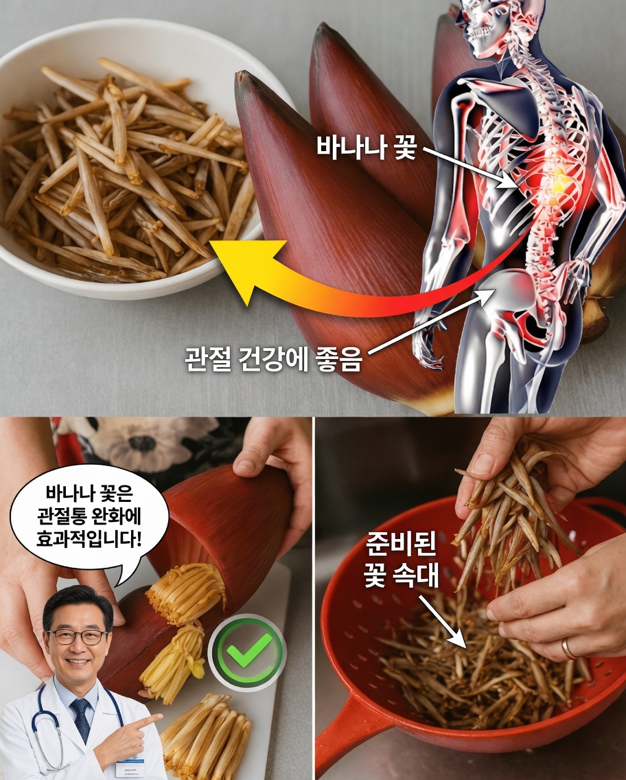 바나나꽃: 자연에 숨겨진 슈퍼푸드