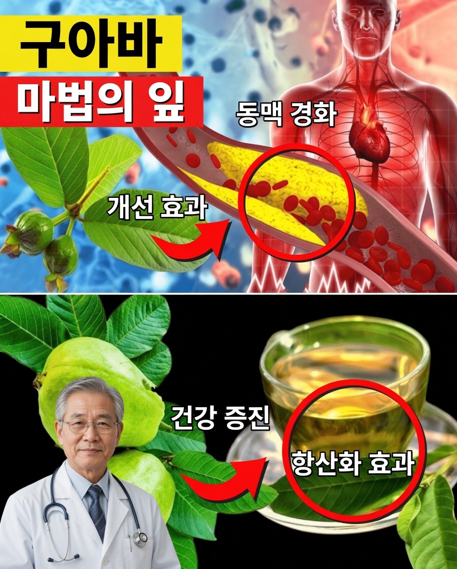 주 2회 구아바 잎차를 마셔야 하는 17가지 강력한 이유