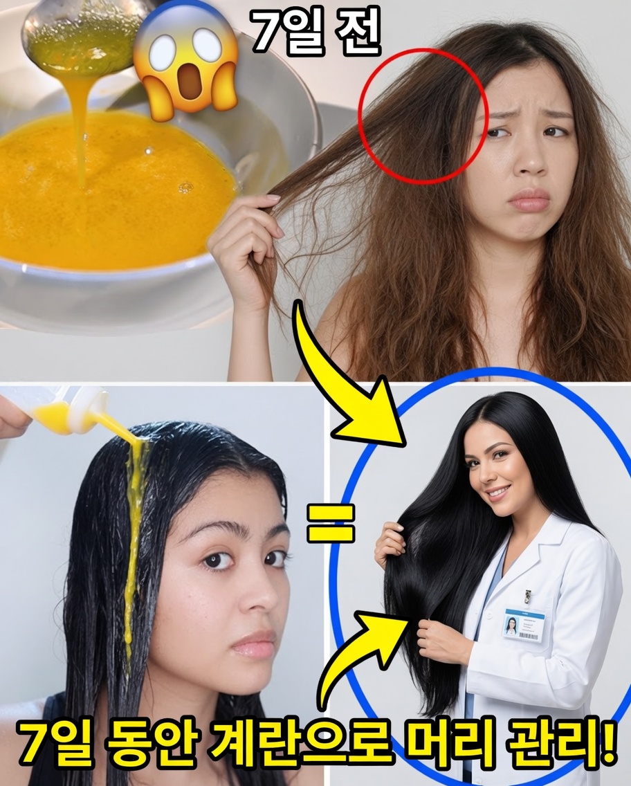 달걀과 올리브오일의 힘으로 모발 성장을 촉진하세요