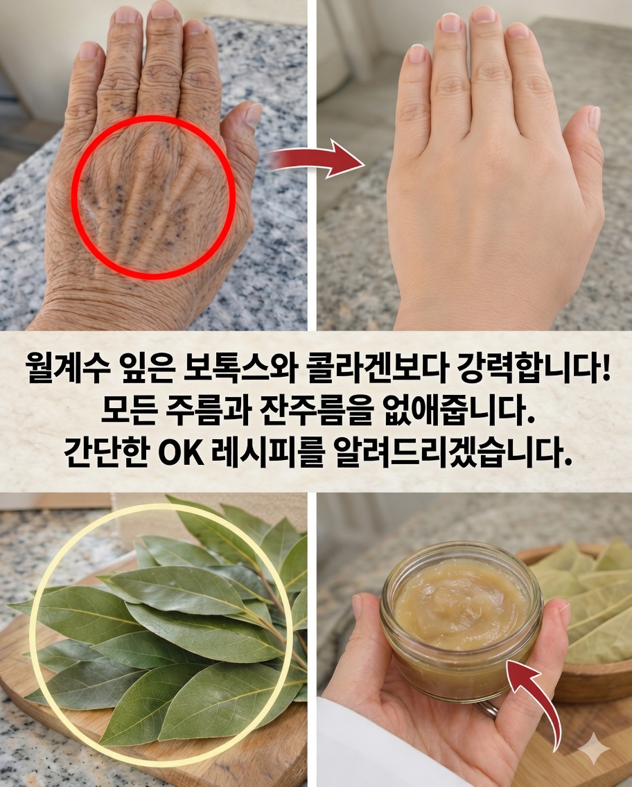 월계수잎의 자연스러운 비밀: 일상적인 이 향신료가 당신의 웰빙을 지원하는 방법