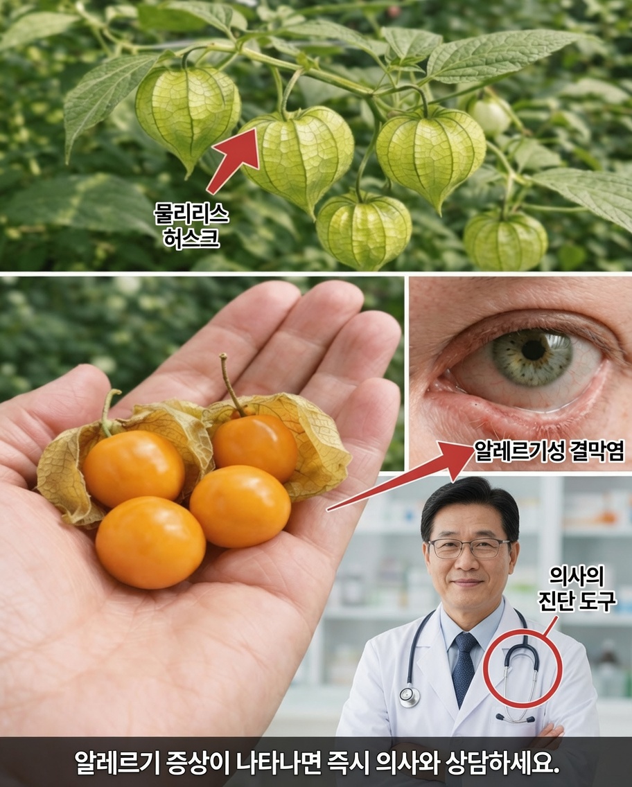 골든베리: 피부의 자연스러운 광채를 드러낼 수 있는 작은 슈퍼푸드