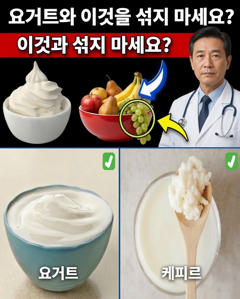 요거트 경고: 장과 소화에 해로운 음식 조합 4가지