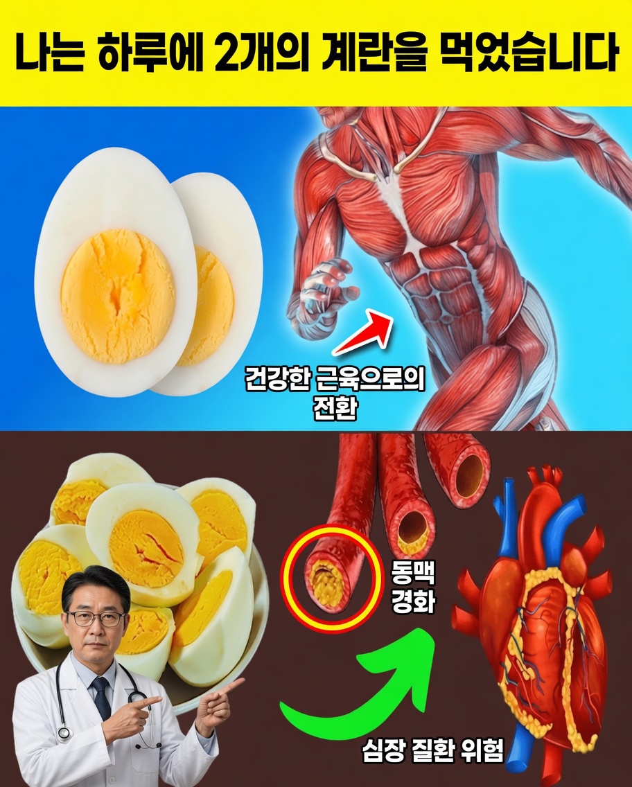 사람들의 99%는 이것을 모릅니다: 하루에 달걀 2개만 먹어도 몸에서 되돌릴 수 없는 과정이 시작될 수 있습니다!