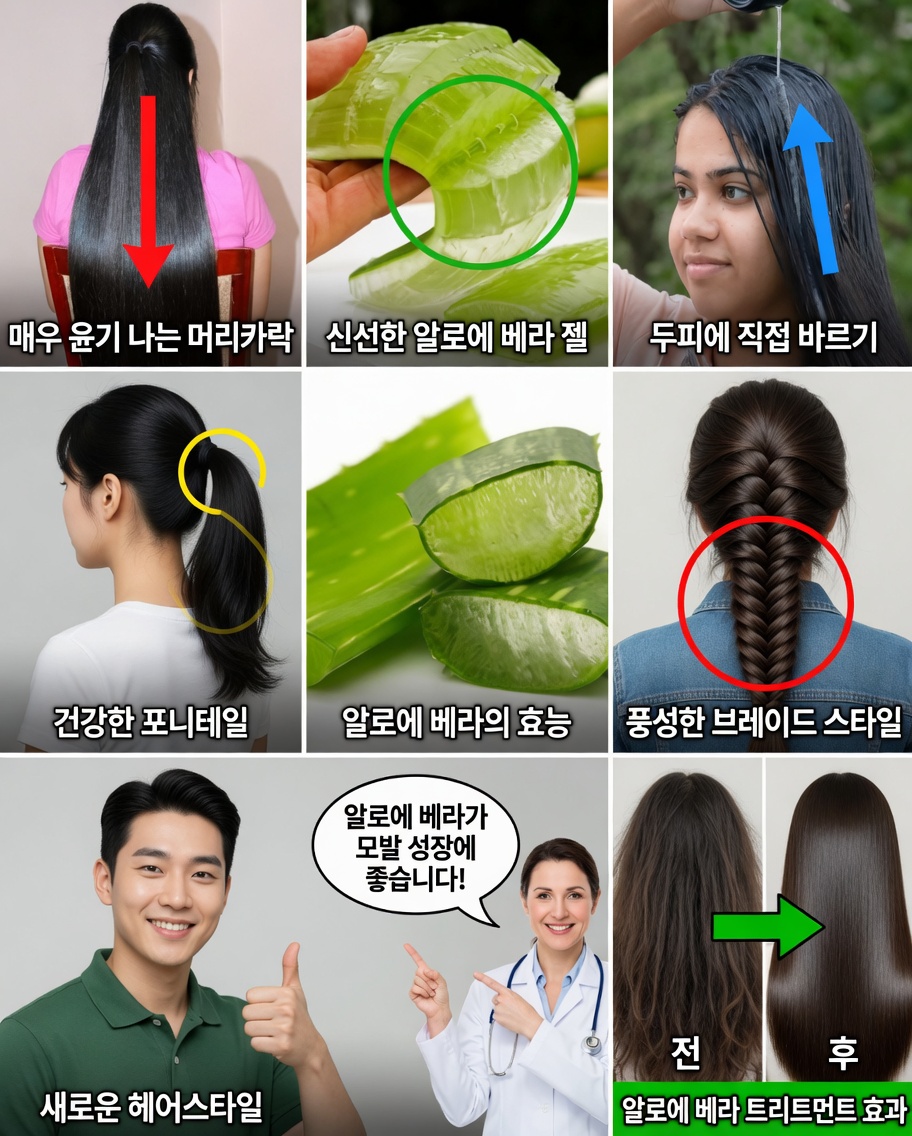 알로에 베라의 이 비밀로 굵고 눈부시게 풍성한 머릿결을 되찾으세요