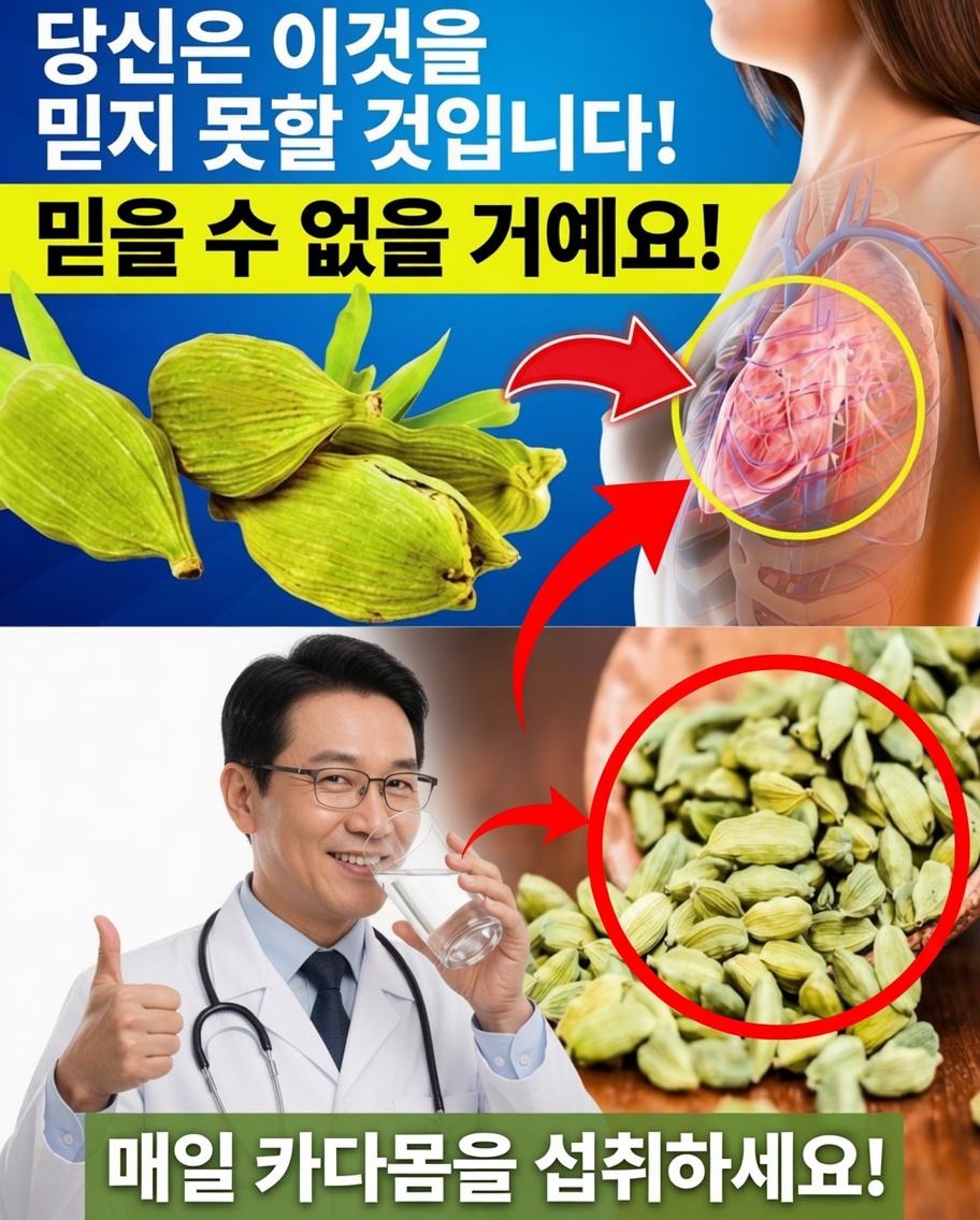 당신이 몰랐던 건강을 위한 카다멈의 5가지 비밀 효능