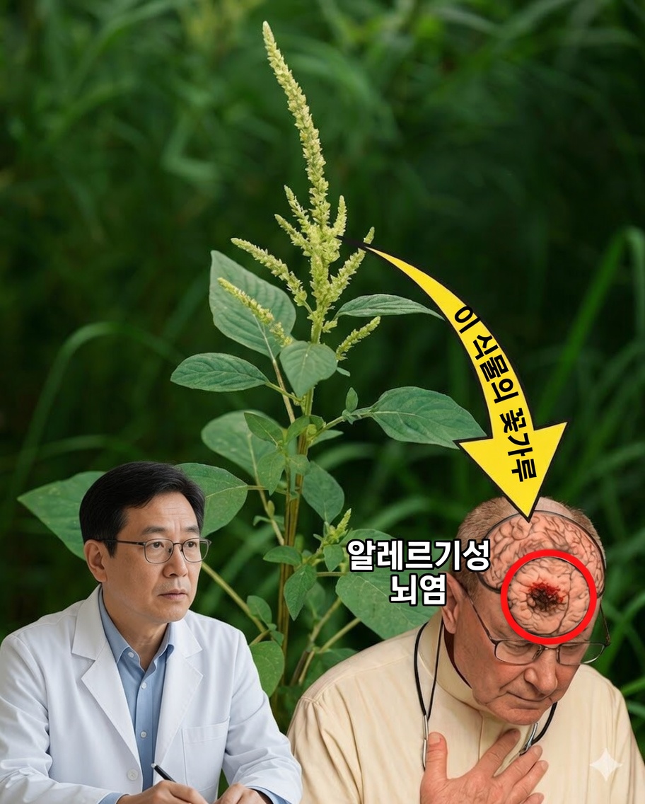 Amaranthus tuberculatus의 힘을 잠금 해제하세요: “잡초”로 불리지만 영양 강자입니다