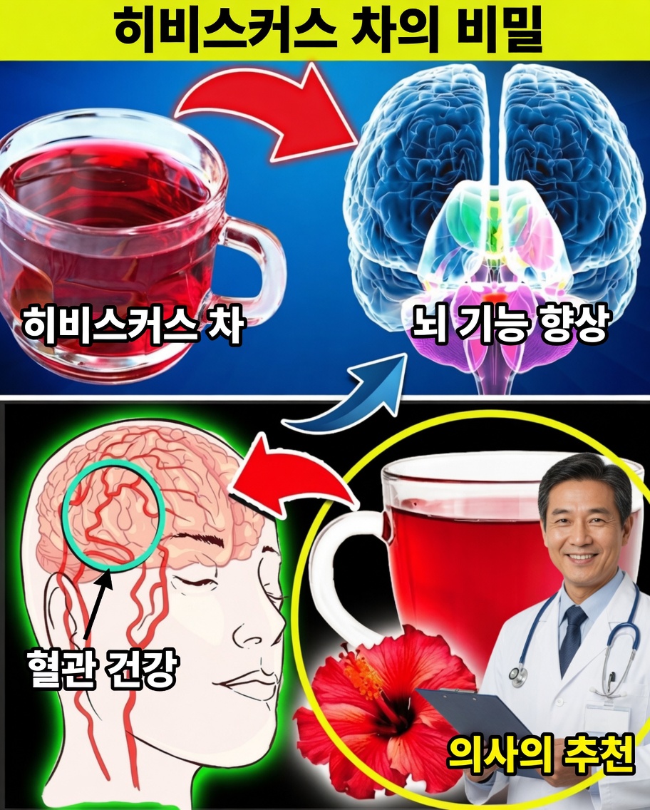 건강을 위한 히비스커스 차의 7가지 강력한 효능