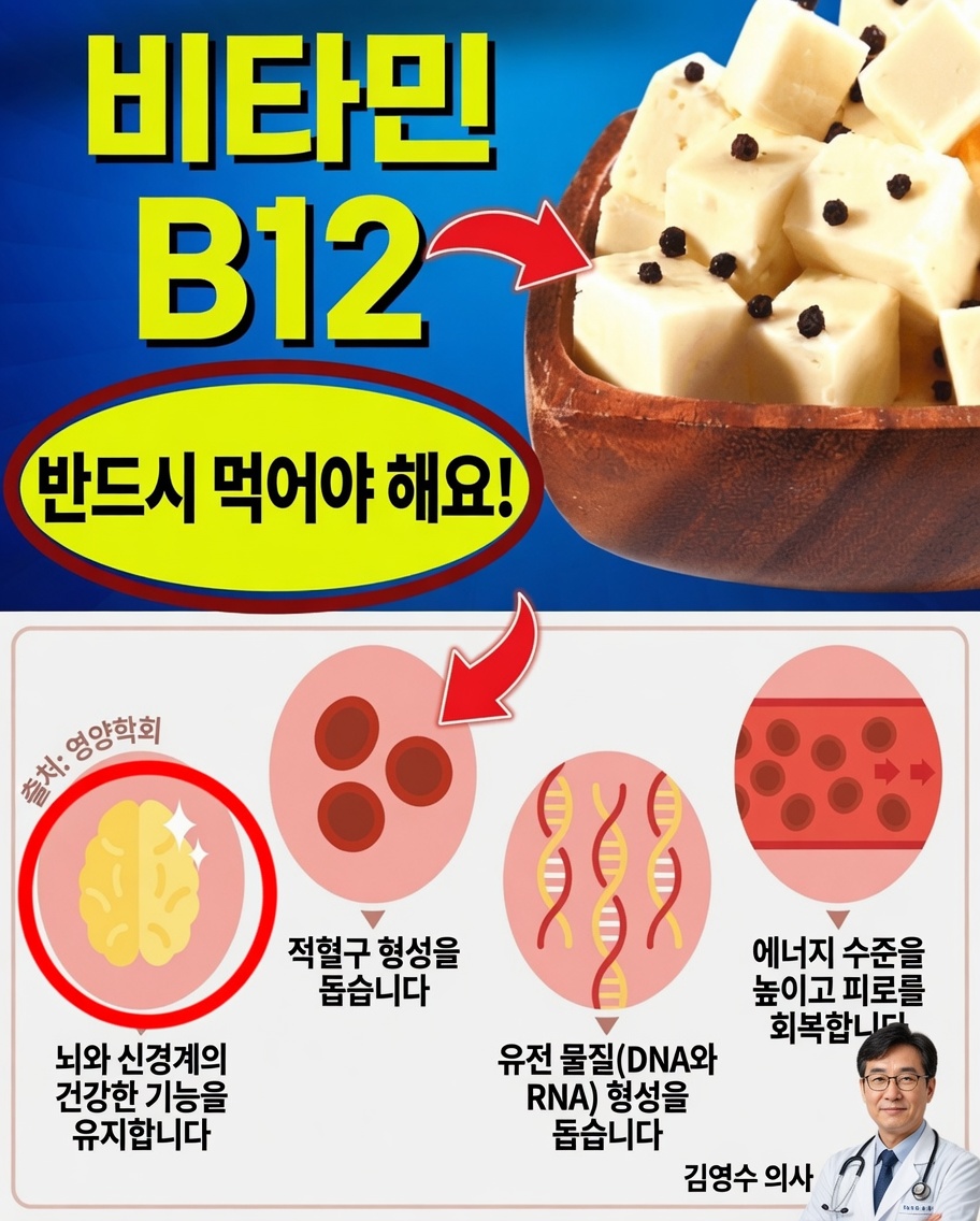 Névoa Mental에 작별을 고하기 위한 비타민 B12가 풍부한 식품 7가지