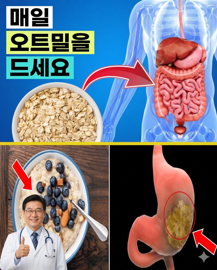 매일 오트밀을 먹으면 몸에 무슨 일이 일어날까