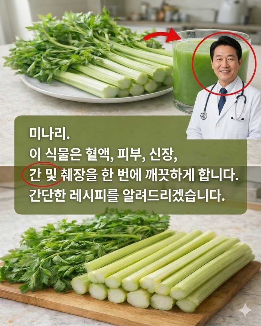 무겁고 붓은 채로 일어나는 게 지치셨나요? 이 간단한 셀러리·파슬리·레몬 주스가 아침을 바꿔줄 수 있어요