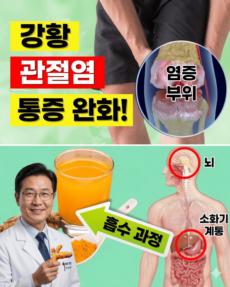강황의 강력한 12가지 효능: 건강을 변화시킬 수 있는 황금빛 향신료