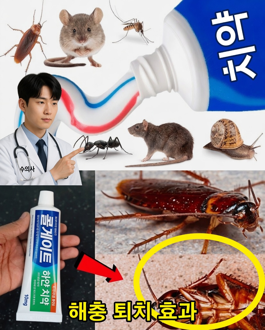 치약: 바퀴벌레와 개미를 막아주는 놀라운 아군