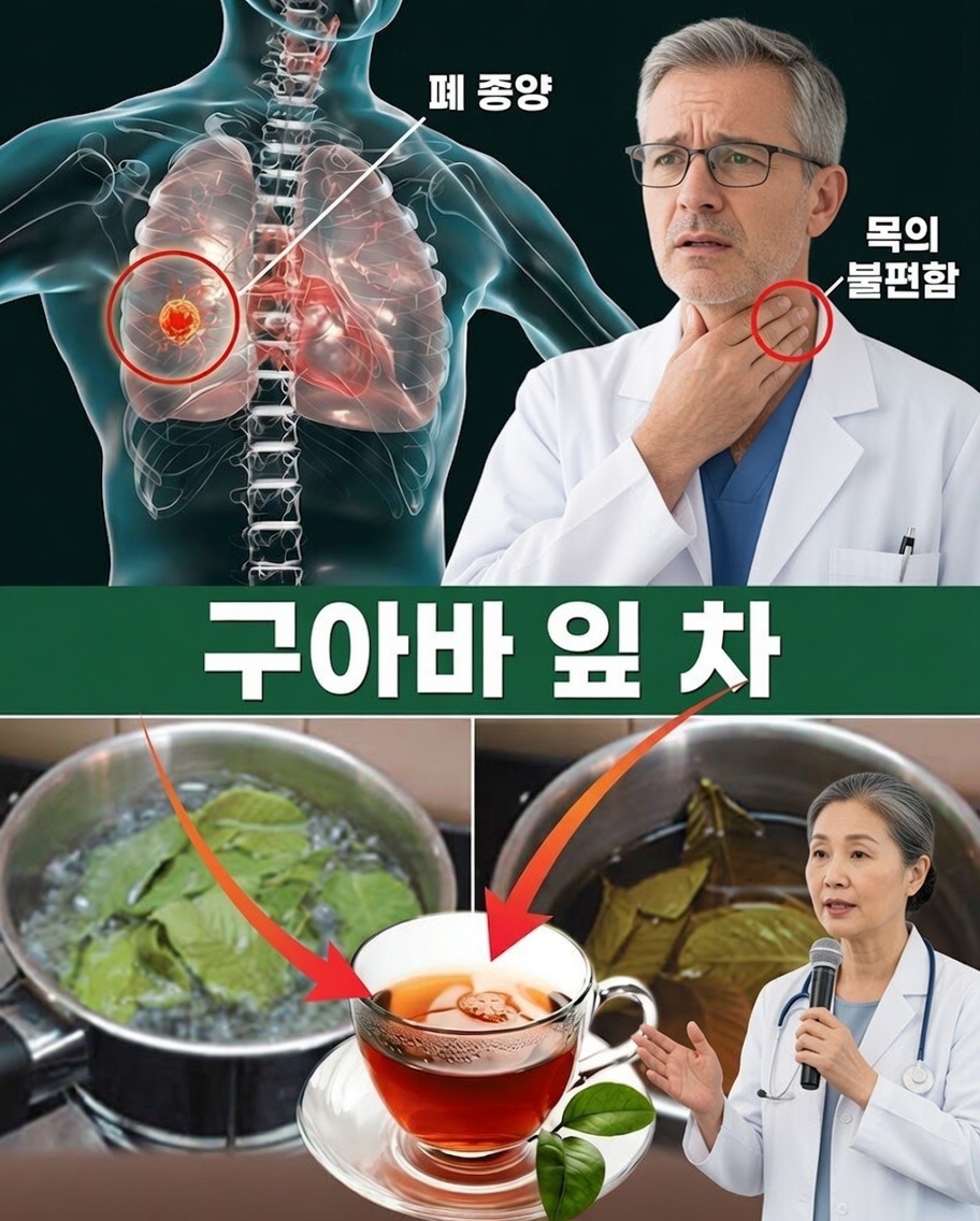 일주일에 두 번 구아바 잎차를 마셔야 하는 17가지 강력한 이유