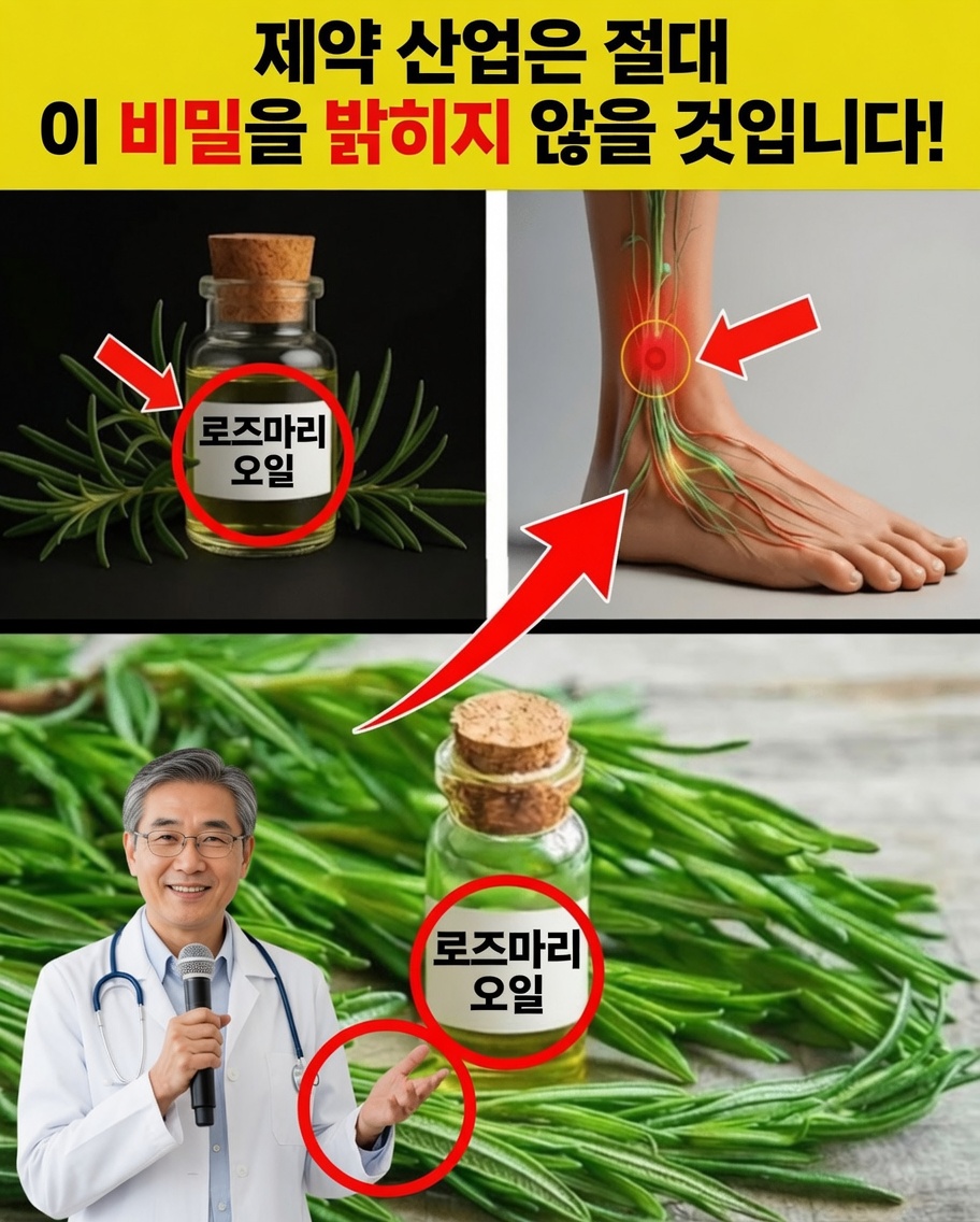 노인: 로즈마리 오일을 이렇게 사용하고 놀라운 12가지 효능을 확인하세요