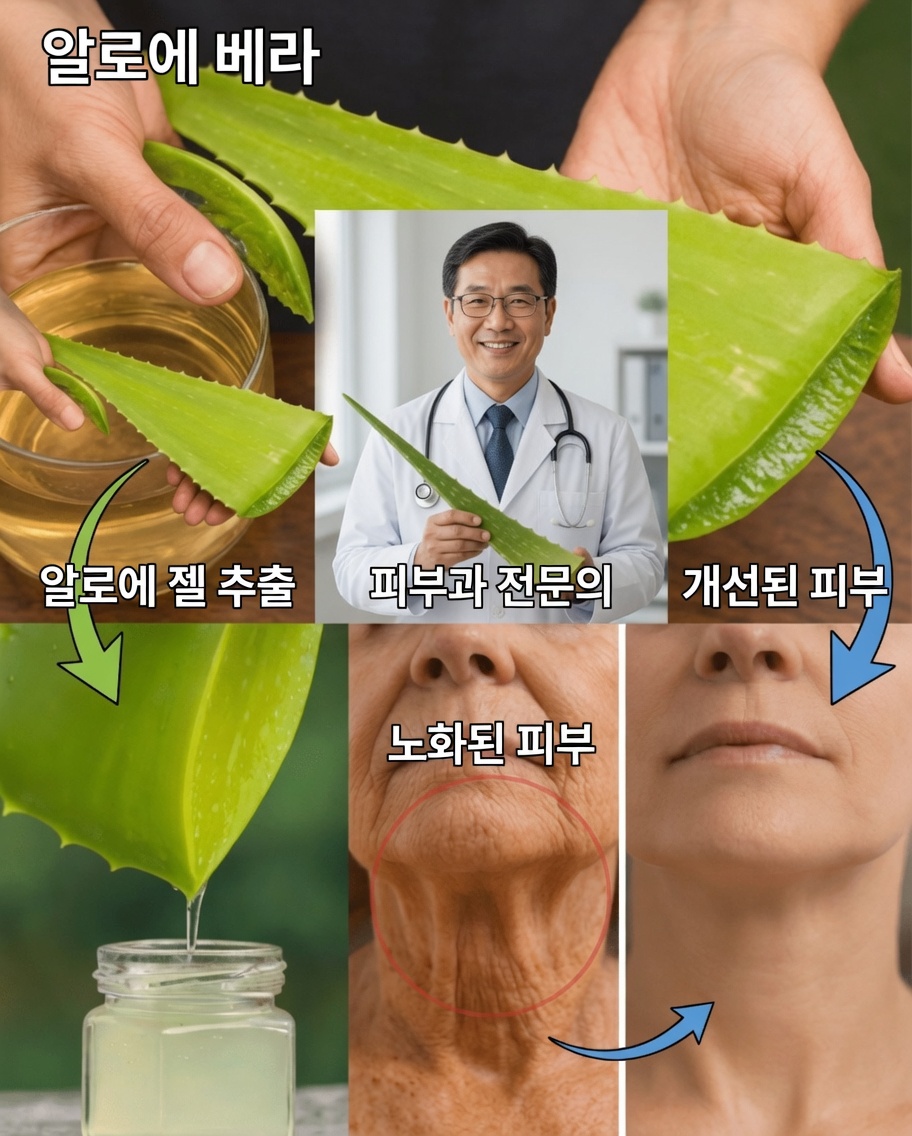 내 할머니는 67세인데도 35세처럼 보여요 – 비결은? 콜라겐 + 알로에 베라