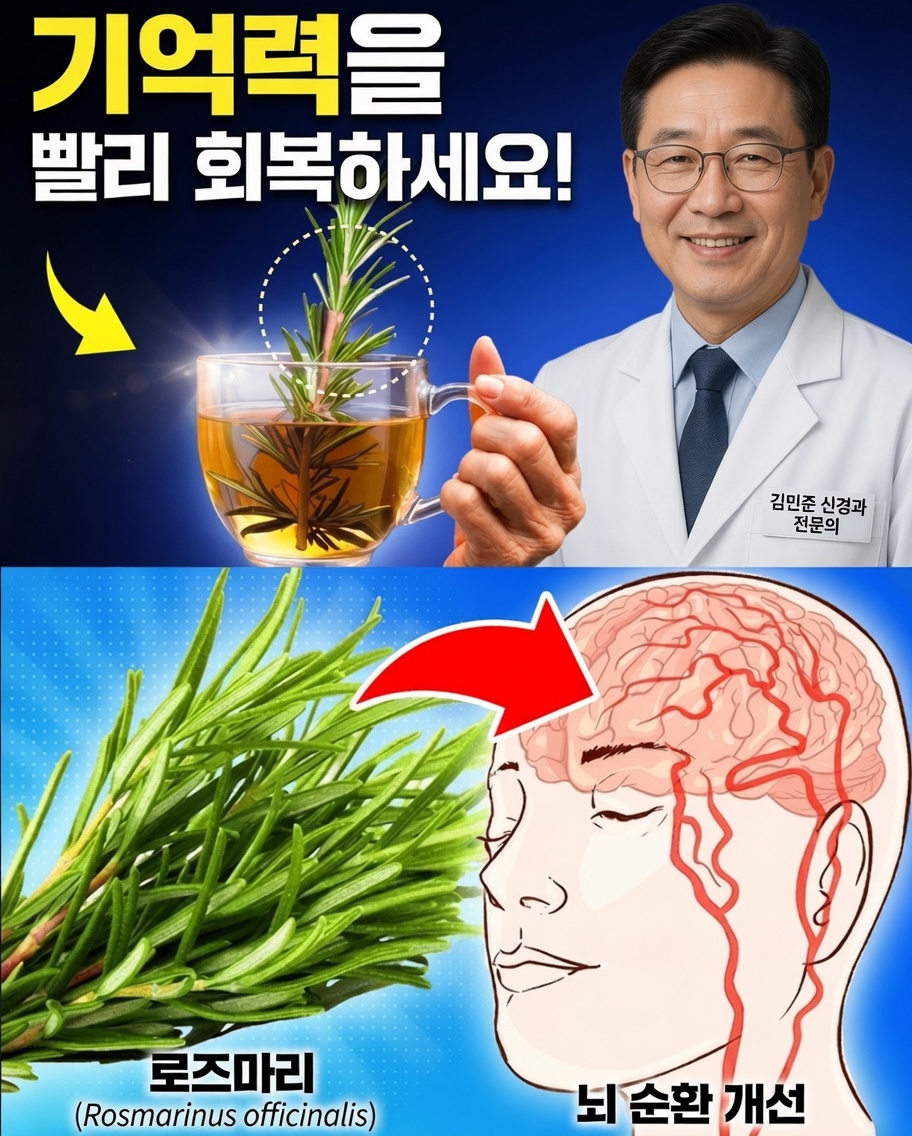 삶을 바꿀 수 있는 로즈마리 활용법 15가지 놀라운 방법